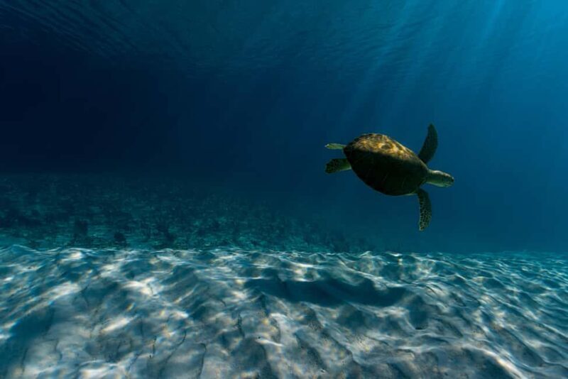 Spanish Wells, Harbour Island, Eleuthera: Private Charters - Key Points