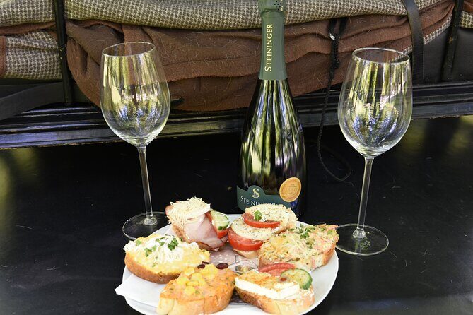 Sparkling carriage ride through Krems and the Wachau vineyards - Detailed Review of the Carriage Ride Experience