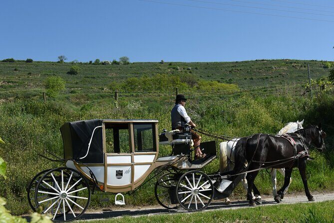 Sparkling carriage ride through Krems and the Wachau vineyards - The Sum Up