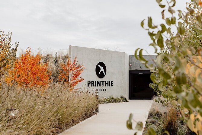 Sparkling Masterclass with Vineyard Tour and 4 Course Lunch - The Sum Up