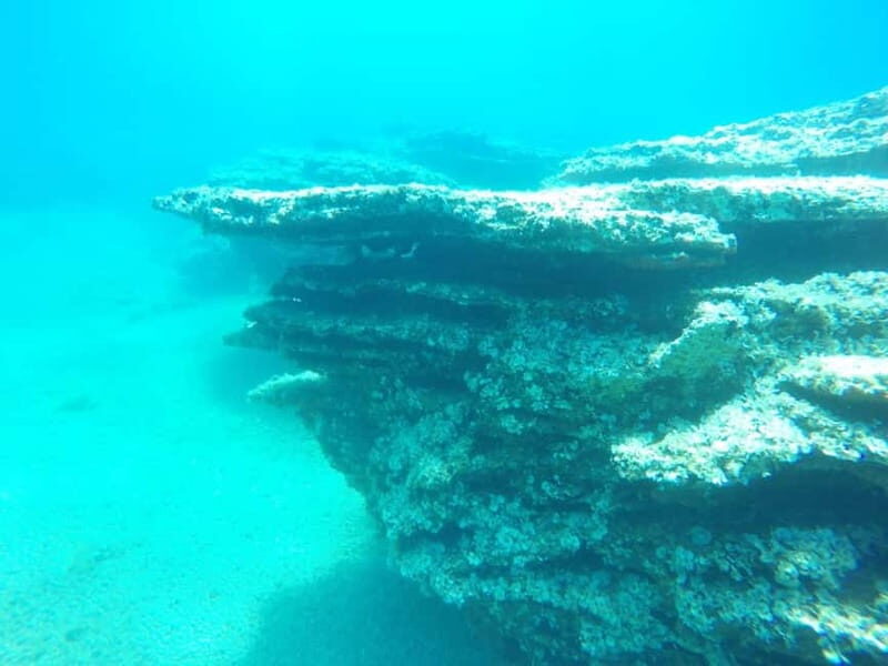 Spearfishing Fishing Tour with Seafood Lunch at the Beach - Final Thoughts: Is This Tour Right for You?