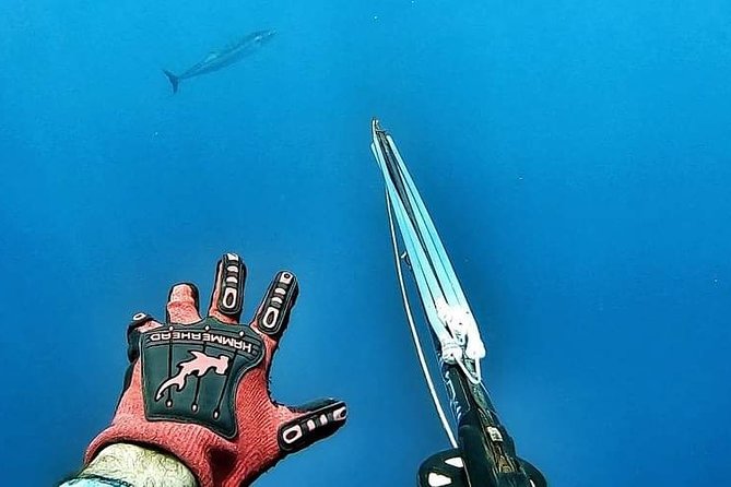 Spearfishing in Tulum or Playa Del Carmen - Health and Safety Information