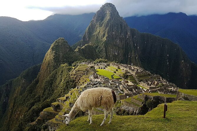 Special 5-Day Machu Picchu and Highlights of Cusco - Overview of the Tour