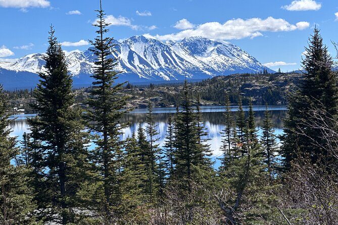 Special Magic Hour Photography Tour - The Sum Up