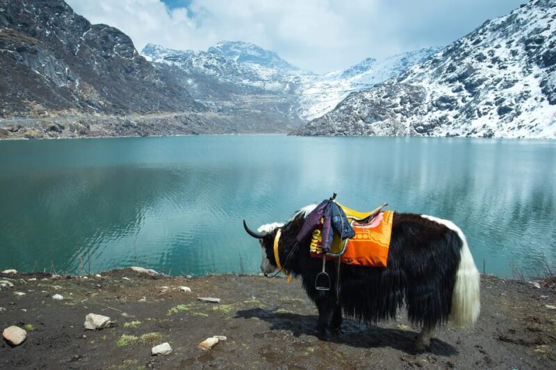 Special North East Tour - Gangtok and Darjeeling 6D/5N - Day 1: Arrival and Exploration
