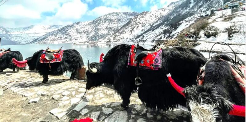 Special North East Tour - Gangtok and Darjeeling 6D/5N - Day 5: Discovering Darjeeling