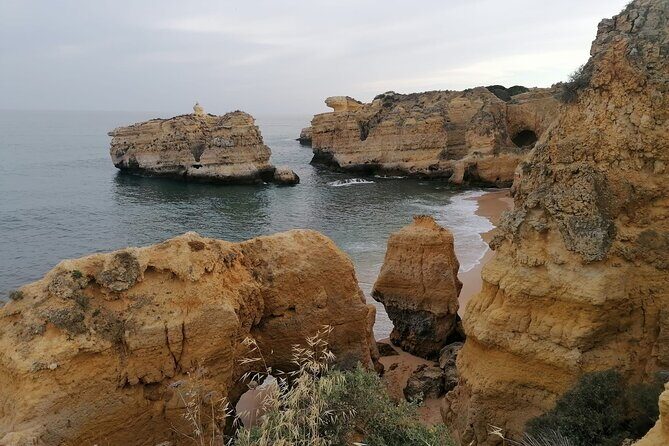 Special One Tour | Tuk Tuke Ride - Practical Details: Transportation, Timing, and Value