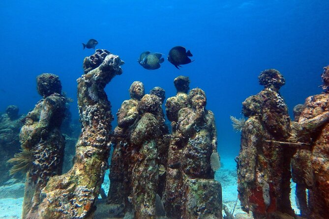 SPECIAL! Snorkel at MUSA - The Underwater Museum Reservation - Customer Reviews