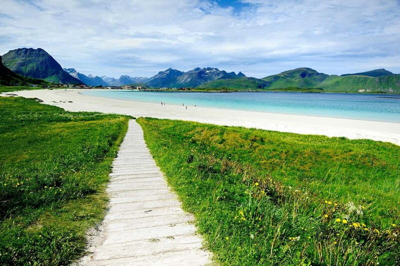 Special Summer Cruise Guided Tour of Lofoten - Who Will Love This Tour?