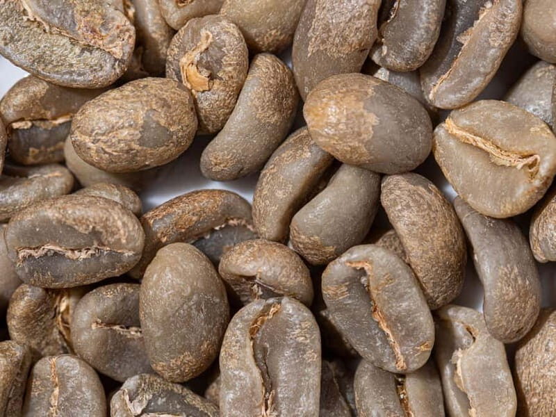 Specialty Coffee Workshop & Tasting Experience in Rome - Key Points