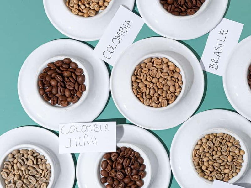 Specialty Coffee Workshop & Tasting Experience in Rome - What to Expect from the Coffee Workshop
