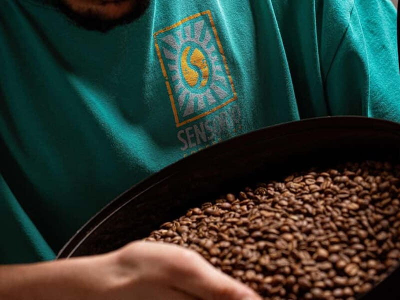Specialty Coffee Workshop & Tasting Experience in Rome - The Sum Up
