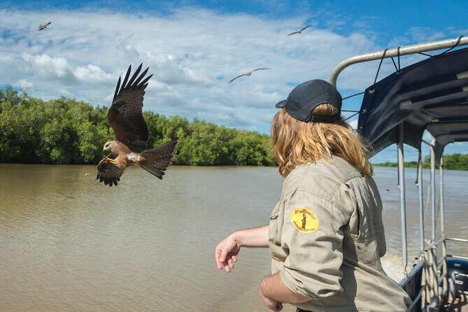 Spectacular Jumping Crocodile Cruise with Darwin Transfer Bus - Why This Tour Works for Travelers