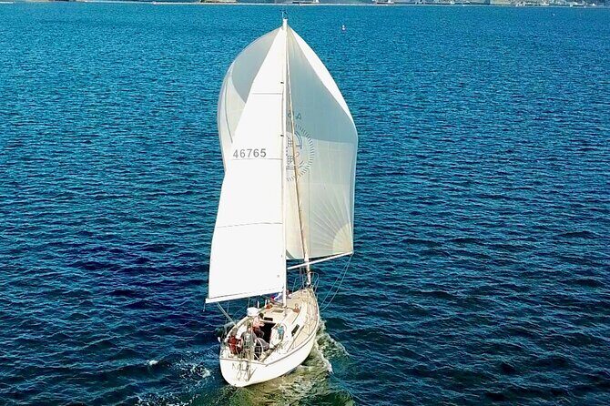 Spectacular Midday Sail - Pricing and Value Analysis