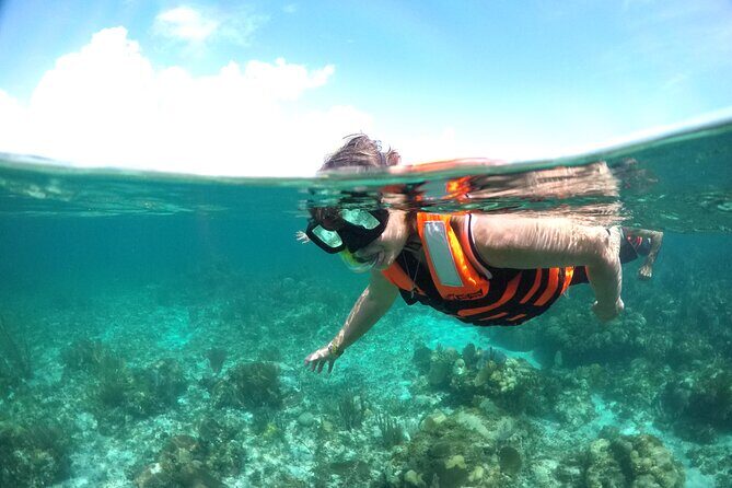 Speed boat aventure and snorkel - Who Will Love This Tour?