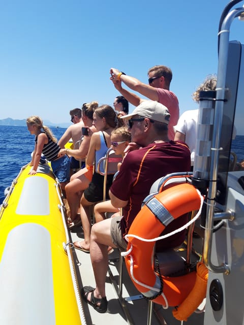 SPEED BOAT CAN PICAFORT - Group Size and Experience