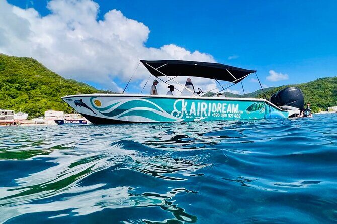 Speed Boat Dolphins and Turtles Full Day - Key Points