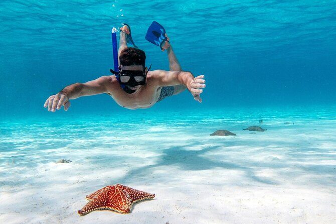 Speed Boat with Snorkeling Adventure of Cancun - Who Will Love This Tour?