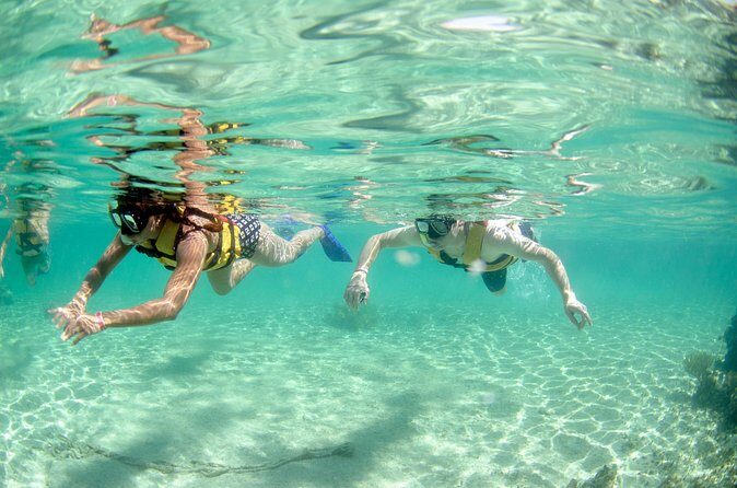 Speed Through Cancun: Explore Mangroves, Reefs & MUSA in One Tour - What to Expect: Speed, Snorkel, and Underwater Art