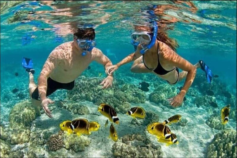 Speedboat Adventure and Snorkeling from Punta Cana - The Experience in Detail