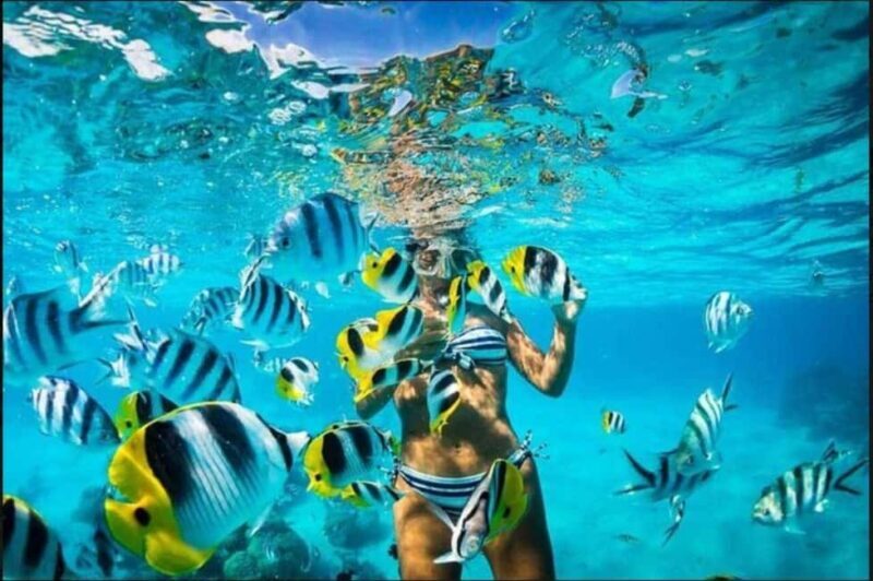 Speedboat Adventure and Snorkeling from Punta Cana - The Sum Up