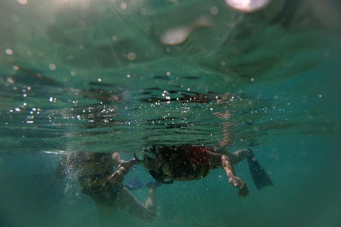 Speedboat adventure through the Nichupte Lagoon. Snorkel included. - Practical Considerations and Tips