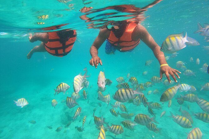 Speedboat Adventure to Snorkeling Spot and Natural Pool - Is This Tour Right for You?