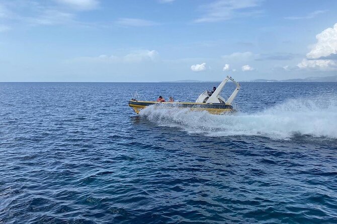 Speedboat Excursion in Playa De Palma - Booking and Meeting Information