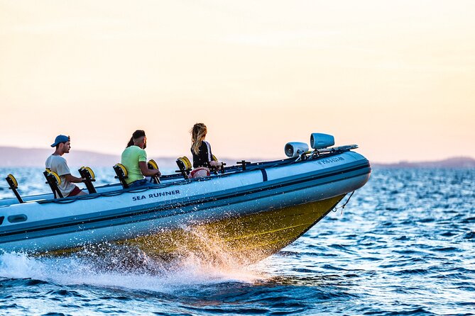 Speedboat Excursion in Playa De Palma - The Sum Up