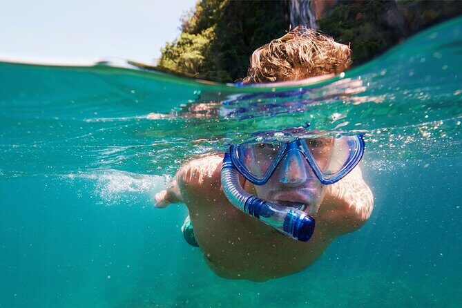 Speedboat Excursion: Thrilling Drive & Snorkel in Cancun Lagoon! - Who Will Love This Tour?