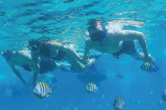 Speedboat Excursion: Thrilling Drive & Snorkel in Cancun Lagoon! - Final Words: Is It Worth It?