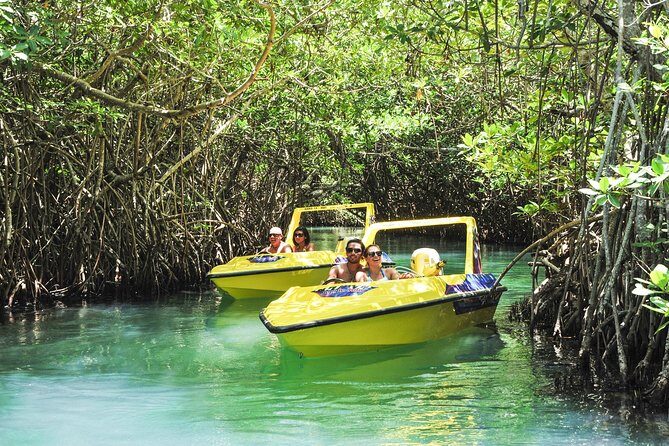 Speedboat jungle tour and snorkel - The Experience Breakdown