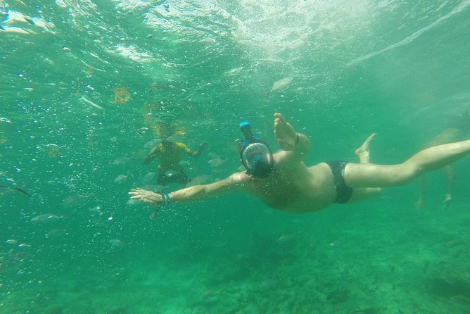Speedboat & Snorkeling Experience - Tour Highlights