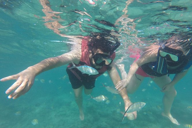 Speedboat & Snorkeling Experience - Frequently Asked Questions