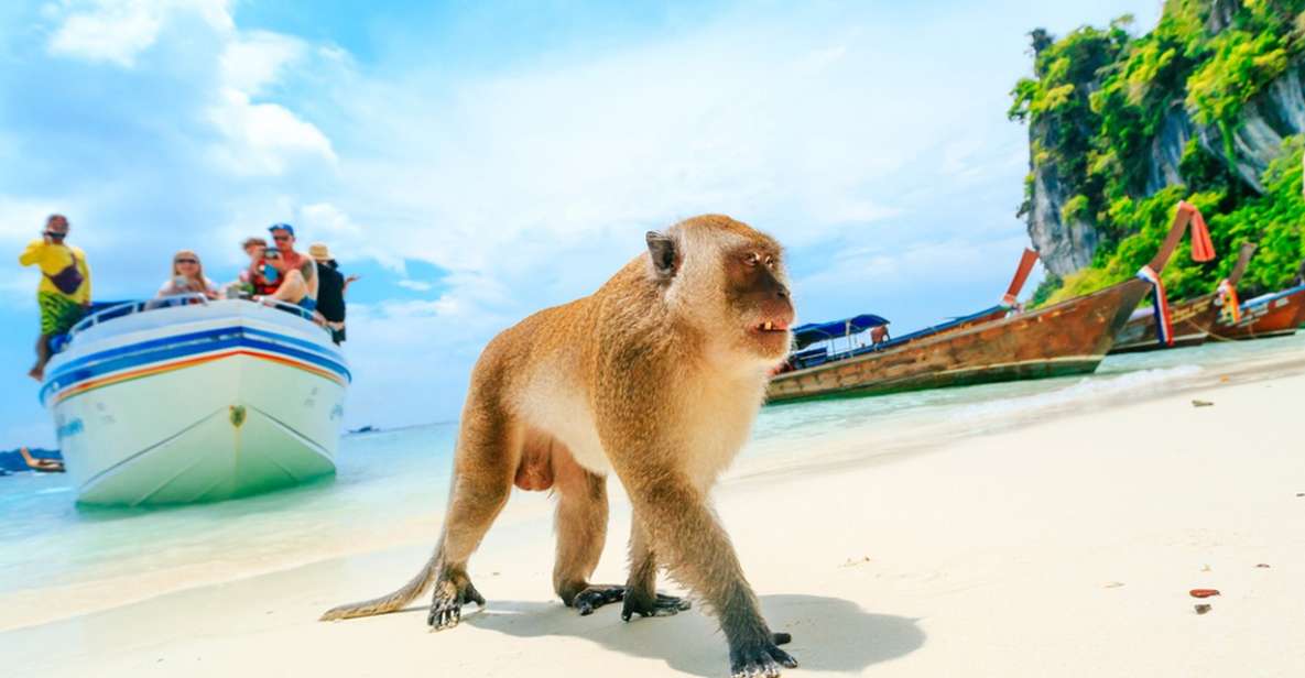 Speedboat to Phi Phi, Maya Bay & Bamboo Island From Krabi - Pileh Lagoons Turquoise Oasis