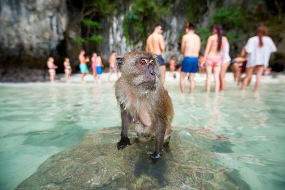 Speedboat to Phi Phi, Maya Bay & Bamboo Island From Krabi - Frequently Asked Questions