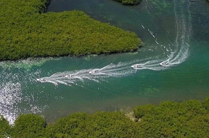 Speedboat tour Snorkeling and Transportation for One Price - The Sum Up