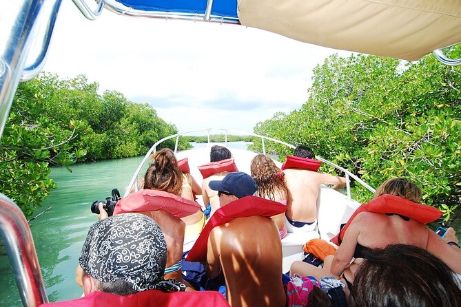 Speedboat Tour to Toro Beach and Turtle Sanctuary - Small Group - Whats Included