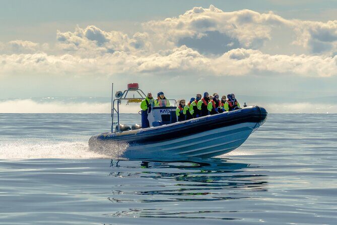 Speedboat Whale Watching Small-Group Tour in Reykjavik - What to Expect: A Closer Look