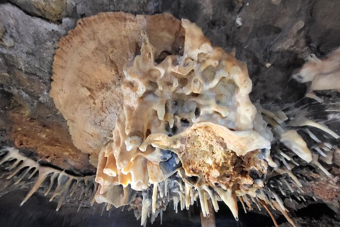 Speleology, Exploration Inside a Secret Cave - Safety and Education Focus