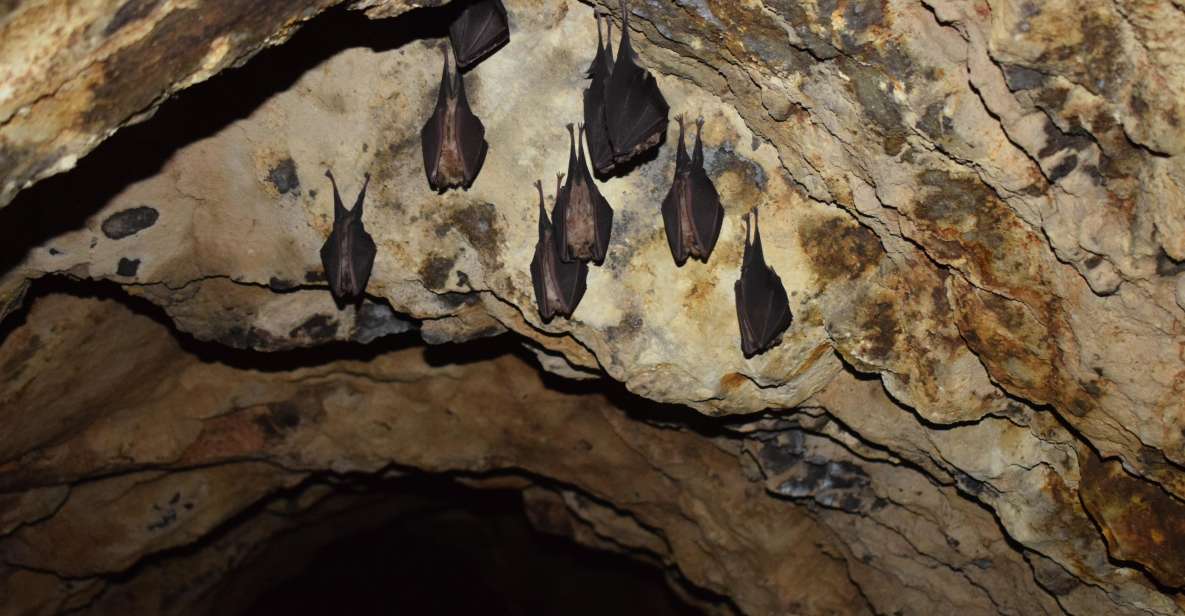 Speleology in the Arouca Geopark´s Tungsten Mines - Itinerary Highlights