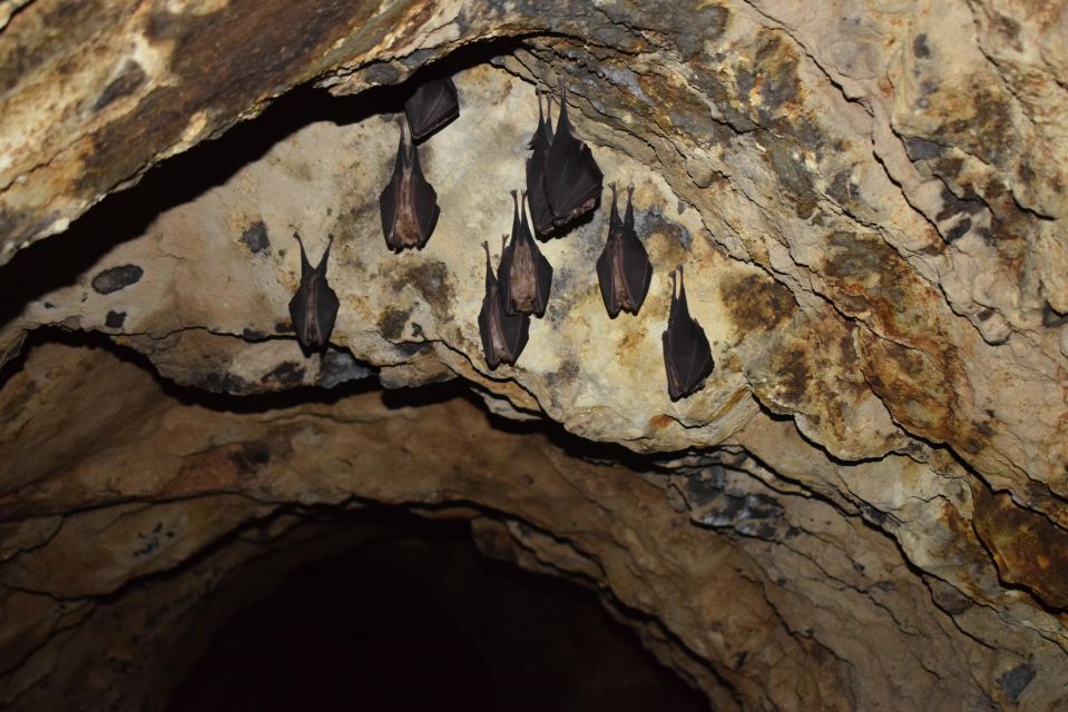 Speleology in the Arouca Geopark´s Tungsten Mines - Historical Significance