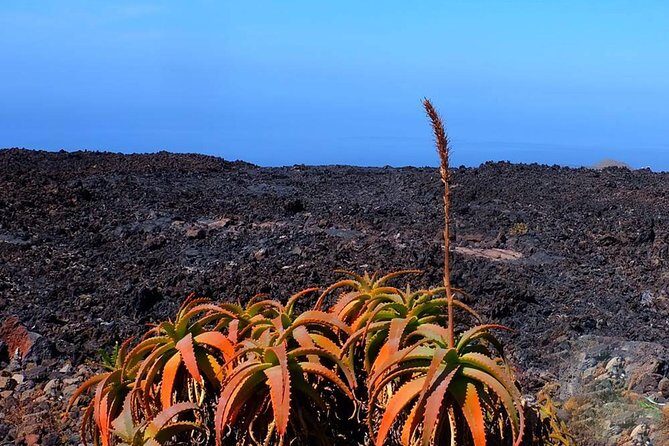 Speleology Tour in Cueva de Las Palomas in La Palma - Key Points