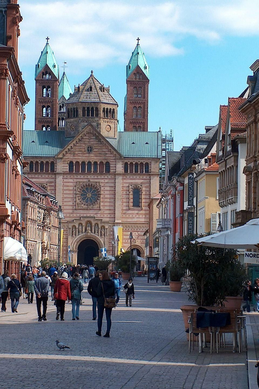 Speyer Private Guided Walking Tour - Pricing and Logistics