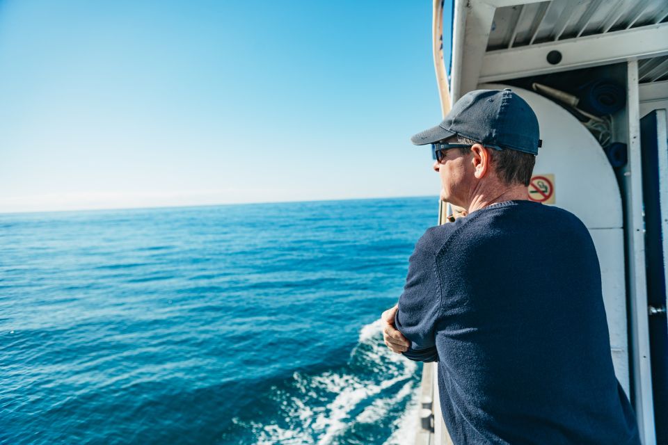Spirit of Gold Coast 2.5-Hour Whale Watching Tour - Important Information