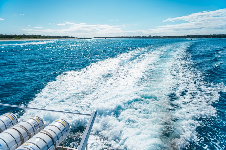Spirit of Gold Coast 2.5-Hour Whale Watching Tour - Frequently Asked Questions
