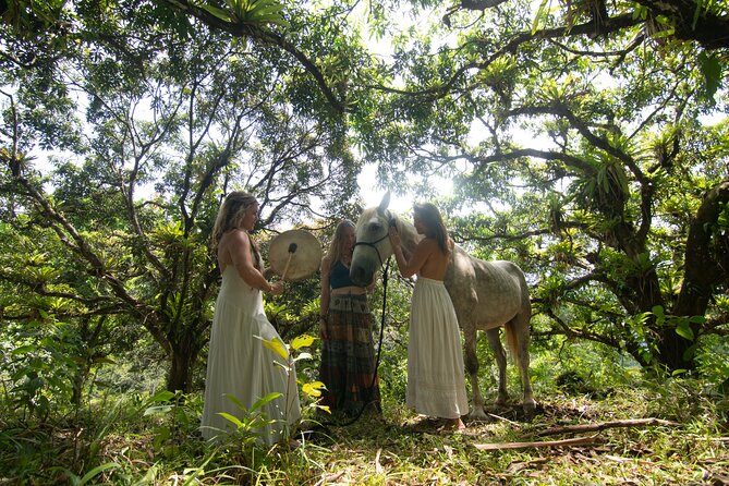 Spirit of the Horse Unique Experiences With Horses - Connecting With Costa Ricas Equine Elegance