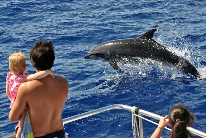 Spirit of the Sea: Cetacean sighting in Gran Canaria - Who Will Love This Tour?