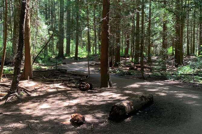 Spirit Of Vancouver Bike or Ebike Tour - Tour Requirements