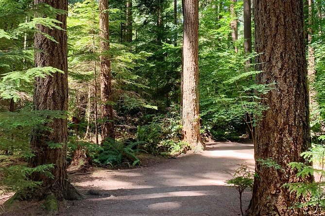 Spirit Of Vancouver Bike or Ebike Tour - Cancellation Policy